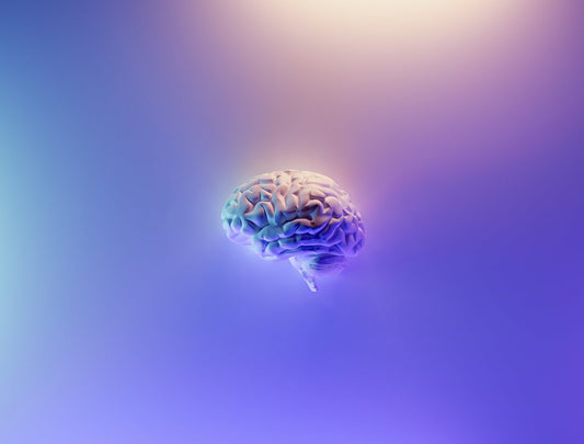 The Devastating Effects of Sleep Apnea on the Brain