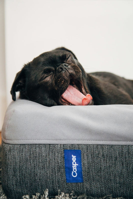 Sleep Soundly: Why Choosing the Right Size Mattress Protector Matters