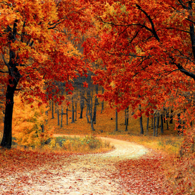 Fall