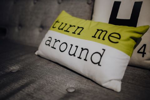 Novelty Pillows
