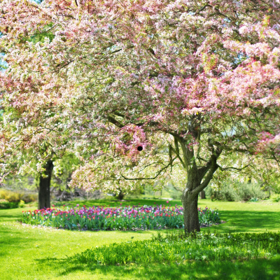 Spring