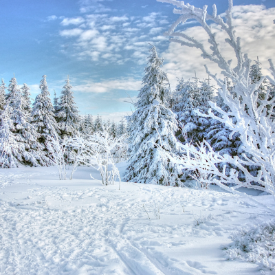 Winter