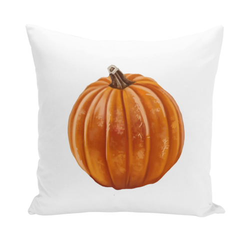 Pumpkin Throw Pillow Cover