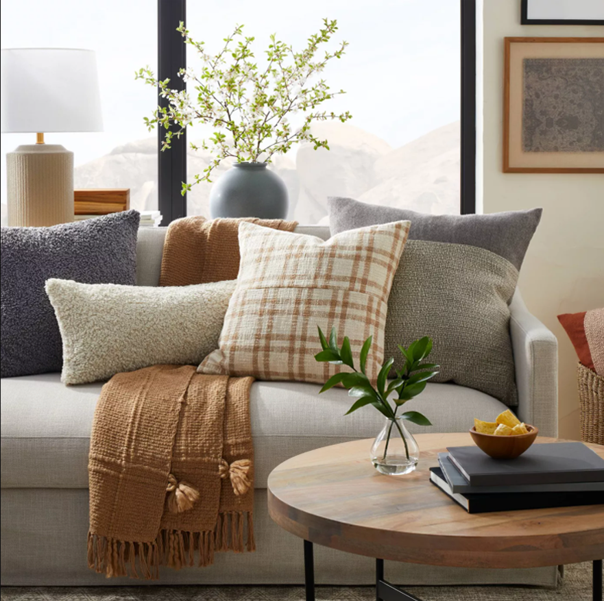 Decorative Throw Pillows Living Room