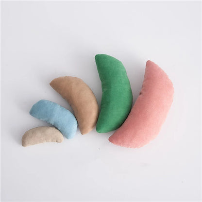 Newborn Posing Beans Bag