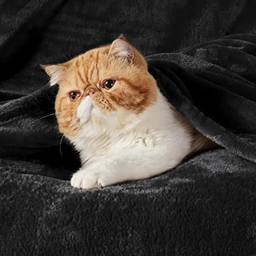 Fleece Blanket Queen Blanket Black